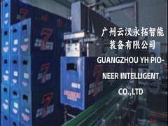 palletizing система